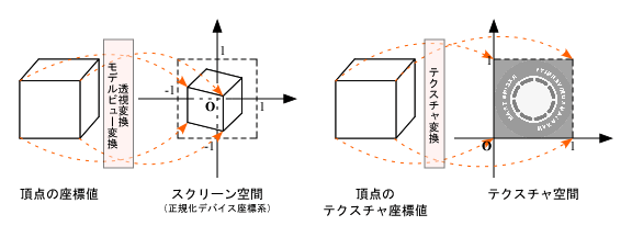 頂点の座標値の変換とテクスチャ座標値の変換