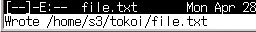 file.txt の保存