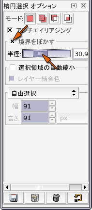 楕円選択オプション