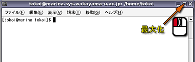 ウィンドウを最大化する