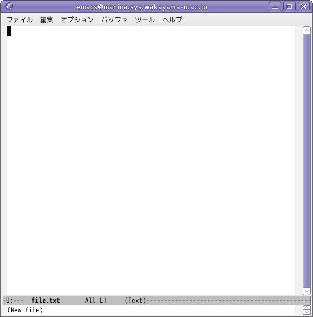 file.txt の新規作成