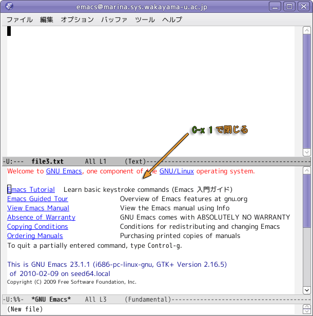 二分割された emacs