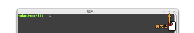 ウィンドウを最大化する